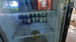 Райский пляж Бай Дай Нячанг / отзыв Нячанг / пляжи Нячанга / отдых в Нячанг 2022