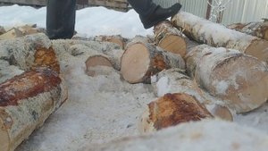 Обкатка бензопилы Хускварна.