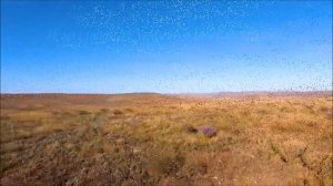 На автодоме по Крыму - 2021. Путешествие по России, Крыму. Часть 1. Феодосия. Судак.