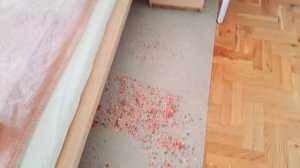 RoboVac Party#18: iRobots AeroForce Challenge ? (special request of @aurorousloveschips )