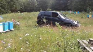 что по мёду на Кубах и о матках