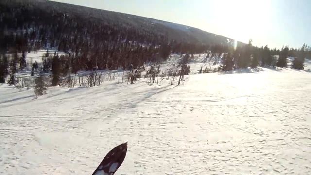 Тест Прошки 2 смотреть онлайн