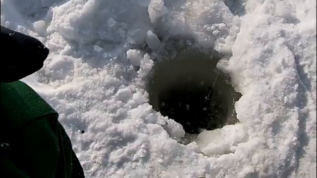 Ушел туда, где глухозимьем и не пахнет... Трещит леска. Зимняя рыбалка 2021 смотреть онлайн