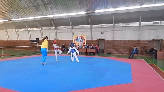 тхэквондо бой девочки смотреть онлайн