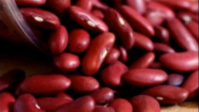 Польза и вред красной фасоли смотреть онлайн