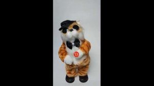 Кот Базилио танцует и поет 18 песен