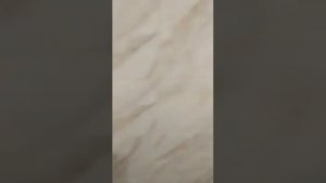 Студия 15 кв.м. МО, г.Химки, 1 Лесная. Звоните! +7961-5308571