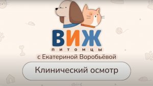 ВИЖ Питомцы. Клинический осмотр