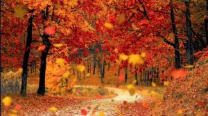 Звук падения листьев в лесу, пение птиц, расслабляющие и успокаивающие звуки ✨