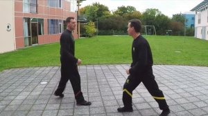 Fightsystematics with Sifu Martin Dragos