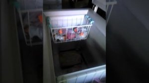Морозильная  камера, Freezer  Liebherr.