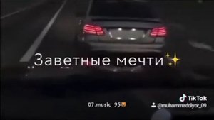 Душа мая пална