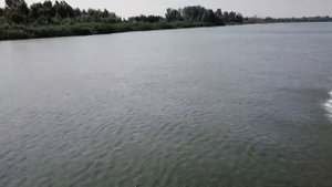 Вельбот 430