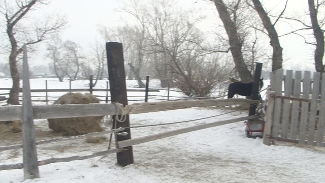 12.02.24 В аале Катанов был проведен повторный рейд смотреть онлайн