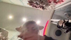 СВЕТА СОЛЛАР SПАЛИЛА К@CKУ