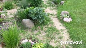 Биоплато Ручей Пруд. часть 2