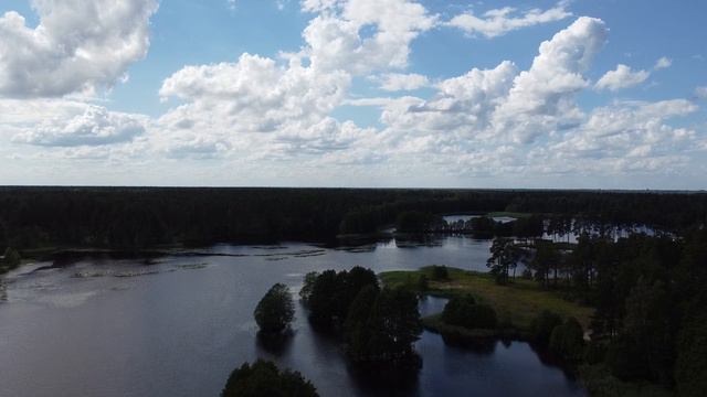 Дедов день рождения 2022 смотреть онлайн