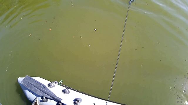 кастинговая сеть рыбалка с лодки( наловили карасей) смотреть онлайн