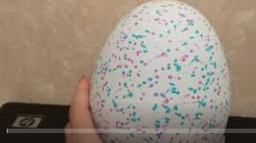 Яйцо Hatchimals вылупление. Как вылупляется яйцо Хетчималс. оригинал.