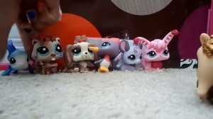 My Littlest Pet Shop tour!!