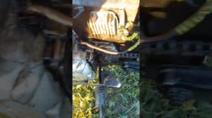 мопед дельта 72 куба зверь обзор и покатушки