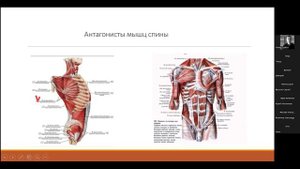 Лекция Дьяковой Е.В._4