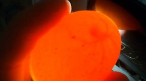 Овоскопирование. 4 день инкубации. Бьётся сердце!