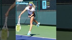 В.И.Иванов. Наблюдения за лучшими игроками. Kick-serve - крученая подача. Федерер.