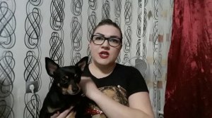 #русскийтойтерьер О породе РУССКИЙ ТОЙ ТЕРЬЕР. Родион в кадре???