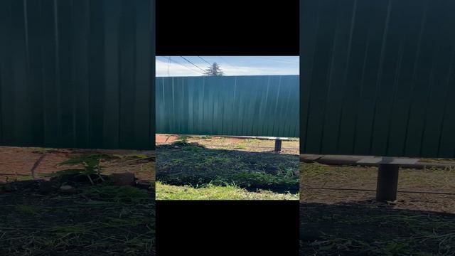 Забор из профнастила и штакетника