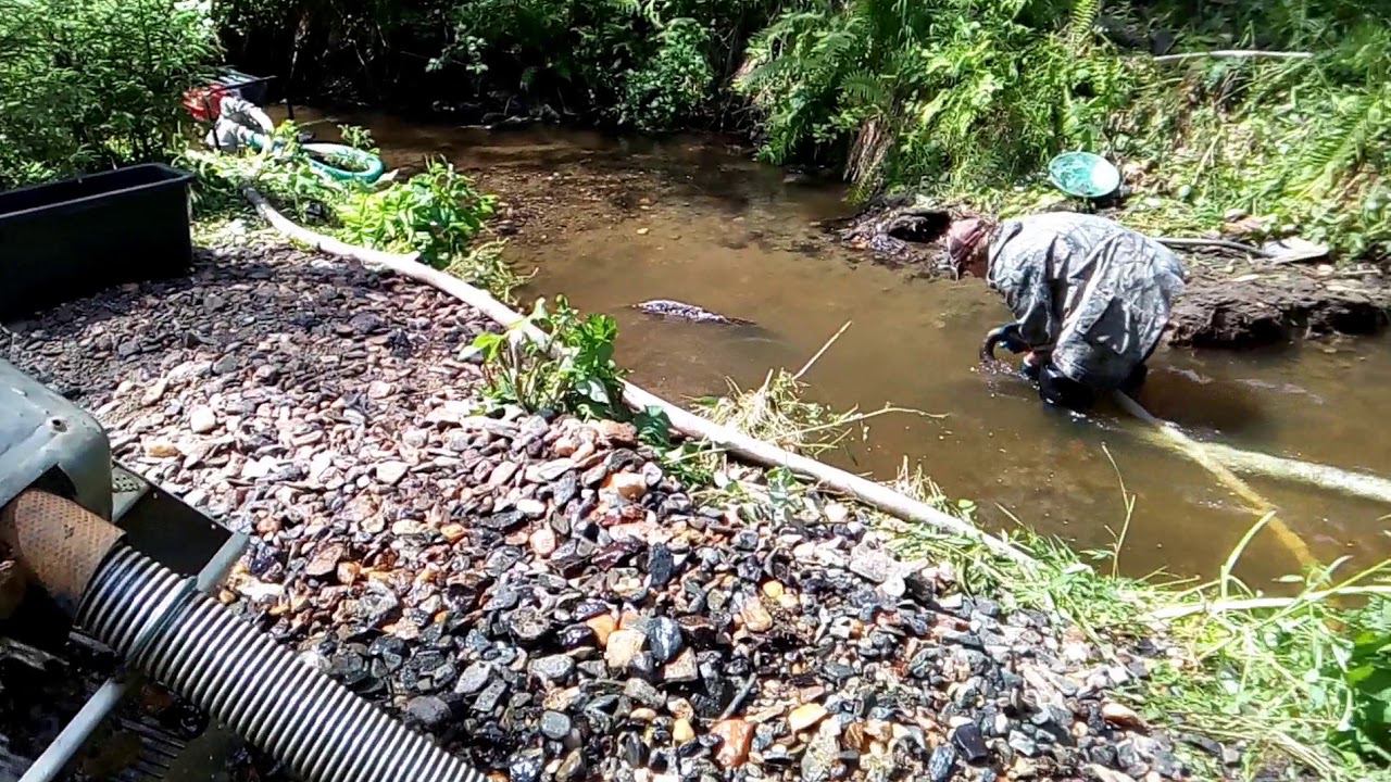 Отбор проб в реке на содержание золота смотреть онлайн