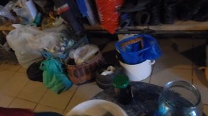 Как избавиться от мышей на целый сезон!!! Верняк, проверено - помогает!!!