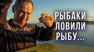 Осётр на живца. Рыбаки ловили рыбу… | С Полем!