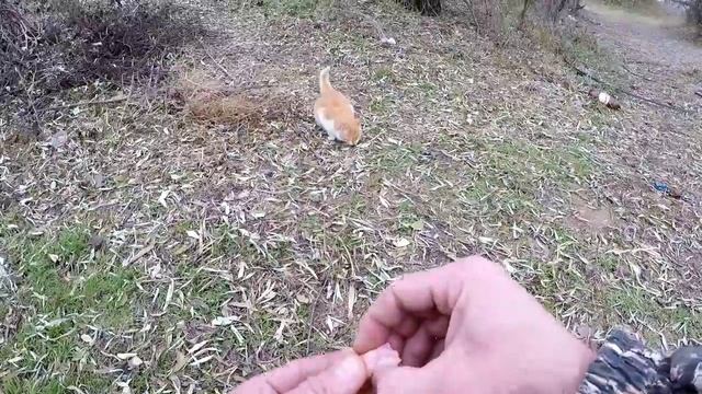 Рыбалка на Днестре 2022 хоть не было клёва хорошо провёл время # рыбалка #отдых # прырода смотреть онлайн