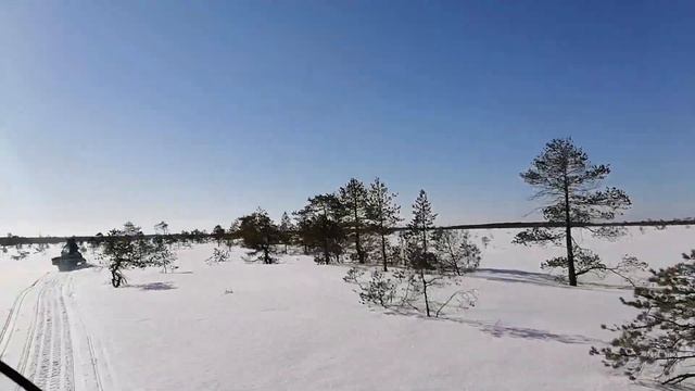 Поездка на избу, заготовка дров. Весна 2023.#зима 2023#отдыхвлесу
