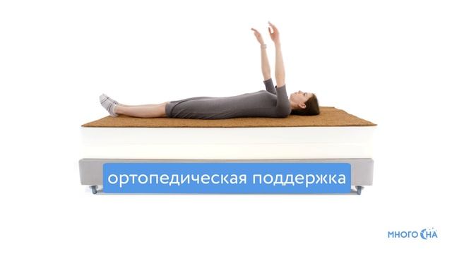 Матрас Comfort Line Cocos Roll Classic+ | Видеообзор от МногоСна