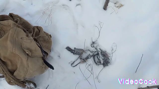 Отжал кусок мяса у россомахи.1серия смотреть онлайн