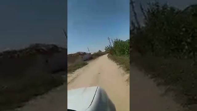 ХОРАЗМ ВИЛОЯТИ БОГАТ ТУМАНИ ОБОД МАХАЛЛАСИДА ОДАМЛАР НАРОЗИЧИЛИК КИЛМОКДА. смотреть онлайн