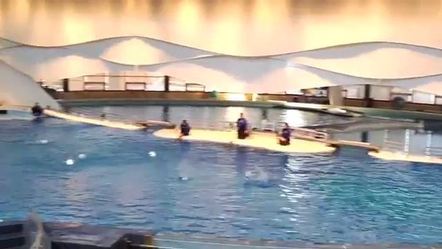 Dolphin predicts 1st pick of 2011 SuperDraft