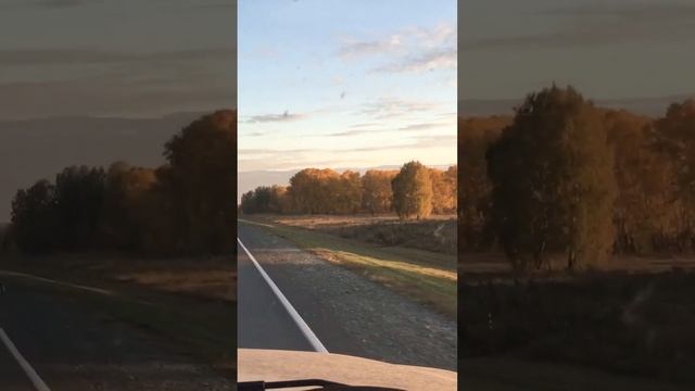 Дороги России. Едем из Новосибирска в Баранул. Russia. The roads.Autumn 2022.