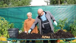 Огород Баварский.Прививка помидора на Картофель Часть 5.