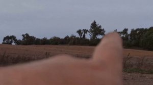 Находки на выбитом поле с Minelab x-terra 705…