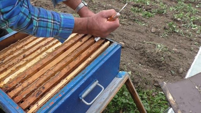 последнее приготовление к зиме снимаем прополисные решётки смотреть онлайн