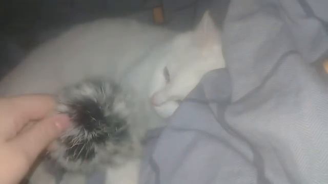 Показываю вещи. смотреть онлайн