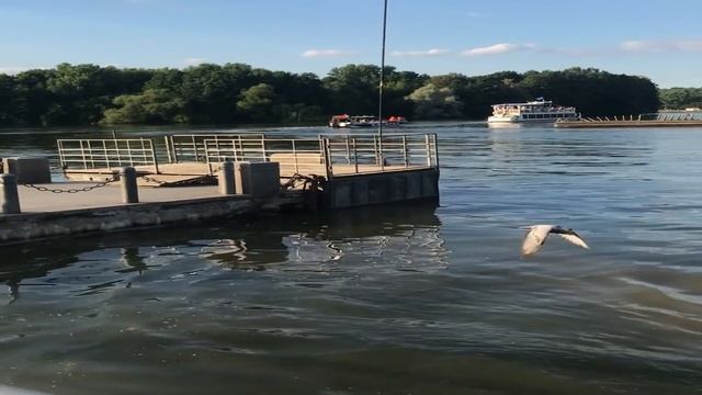 Отправил жену с подругой в санаторий,вечером получил видео и рванул туда.Интересные истории из жизн