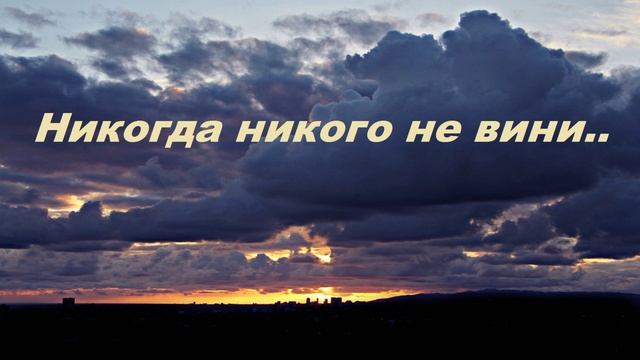 Никогда никого не вини