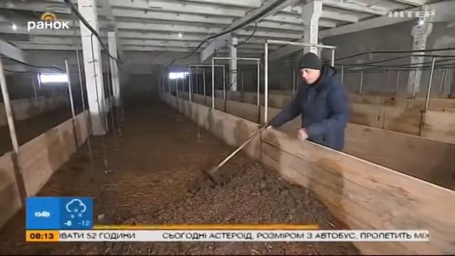 Заработать на червях: необычные фермы Украины