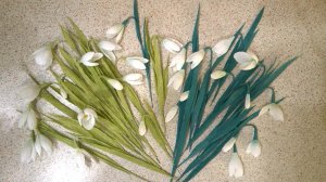 Подснежники из гофрированной бумаги. Своими руками.