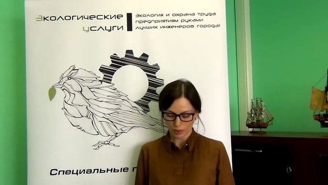 Что такое проект ПДВ?