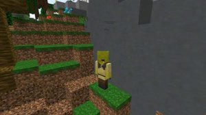 skywarsers vs bedwarsers